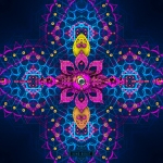 Gallery--Geomatrix-cactus