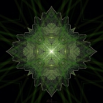 xvi