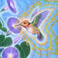 alex_grey_hummingbird1