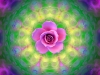 877-mandala-and-rose-by-ellen-vaman-w-name_0