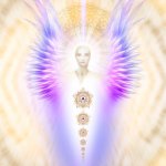 Angel-13
