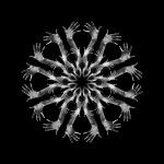 10603555_535846649881314_745841219665571152_n.jpg