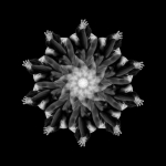 11866265_707005586098752_3916382866011590843_n.jpg