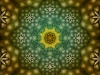 the_seed2_11_web_final_