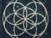 the-seed-of-life