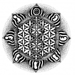 DNA Flower Of Life.jpeg