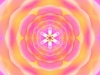 pinkpetalmandala