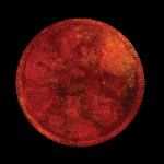 urska-art5