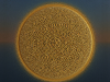 cosmic-disk-with-gold-dust